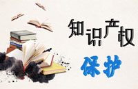 Beijing ZhiRui Overseas Intellectual Property Research Institute